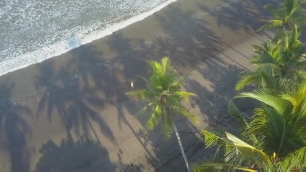 드레스 해변에 산책에 코코넛 나무와 해변에 화창한 꿈꾸는 — 비디오