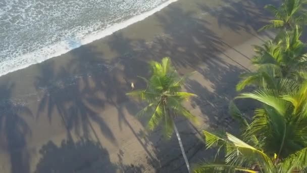AÉRIAL, TIME WRAP : Voler au-dessus de la jeune femme en robe jaune marchant sur une belle plage de sable reculée. Femme au bord de la mer avec des cocotiers verts luxuriants. Vacances d'été de rêve sur l'île ensoleillée de Bali 