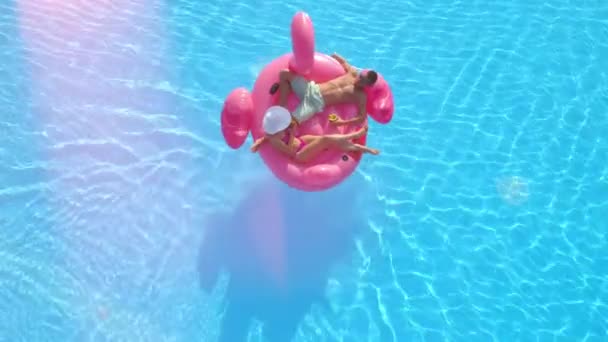 Luftlinsenschlag: entspanntes Paar auf lustigem aufblasbarem Flamingo-Floatie liegend, Cocktails trinkend und entspannend. sexy Paar im Badeanzug schlürft Getränke und genießt auf rosa Flamingo schwimmt in sonnigem Pool