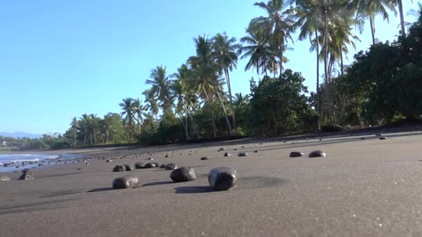 Low Motion Flose Dof Pedras Vulcânicas Pretas Praia Espumante Molhada — Vídeo de Stock