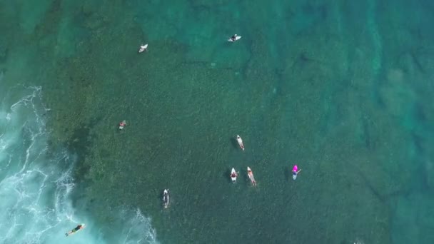 Aerial Los Principiantes Los Surfistas Profesionales Esperan Alineación Para Coger — Vídeos de Stock