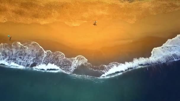 Légi felülről lefelé felismerhetetlen szörfös hordozó szörfdeszka, a karját. Turisztikai fickó sétál egy gyönyörű homokos strand, maga mögött hagyva lábnyomok álmodozó Bali szigetén. Sétálnak végig a tengerparton ember