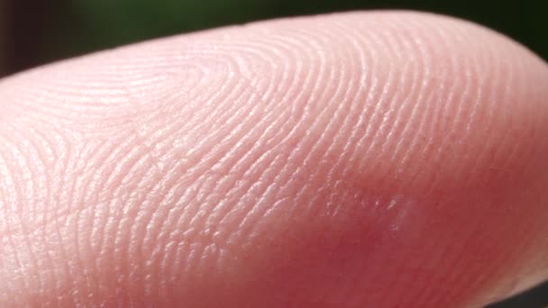 白人の人差し指の指紋の極端なクローズ アップ マクロ 白い人の肌パターンとテクスチャの指先に 白人男性の指紋 — ストック動画
