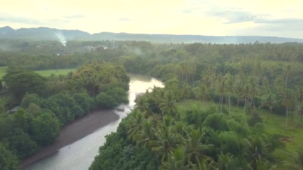 Antenn Flyger Över Slingrande Floden Löper Genom Grönskande Täta Palm — Stockvideo