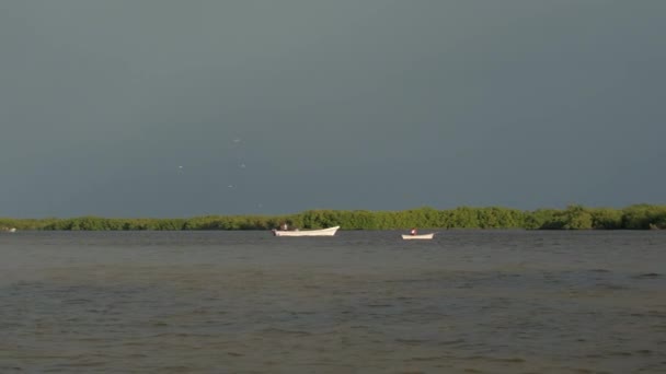 Mieszkańców Łodzi Rybackich Pływających Niesamowitą Lagunę Rio Lagartos Przed Burzą — Wideo stockowe