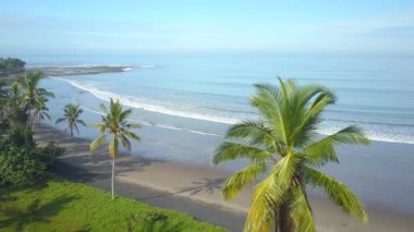 Hava: masmavi suda balık yakalamak dalgalar deniz üzerinde yelken geleneksel Balinese balıkçı tekneleri. Balıkçılar okyanus ufukta gemilerle. Yemyeşil yeşil Hindistan cevizi hurma ağacı güzel dalgalanan deniz manzaralı