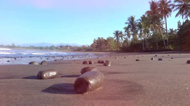 Slow Motion Close Dof Rocce Vulcaniche Nere Bagnata Spiaggia Sabbia — Video Stock