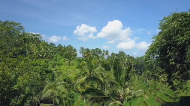 Antenne Flug Über Den Rand Des Leeren Infinity Pools Mit — Stockvideo