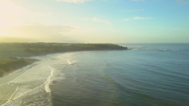 Luchtfoto Prachtige Bali Jungle Landschap Dramatische Mistige Zomerochtend Weelderige Dichte — Stockvideo