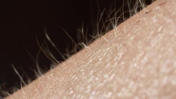 Close Macro Depth Field Detail Skin Hair Female Arm Light — Stock Video