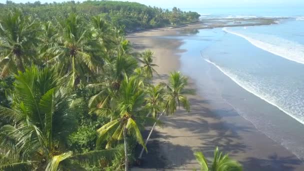 Aerial Close Flying Traditional Balinese Fishing Boats Called Jukung Lined — Stock Video