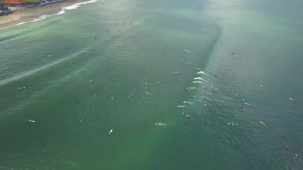 Aerial Multidões Surfistas Longboarders Esperando Fila Para Pegar Onda Quebra — Vídeo de Stock