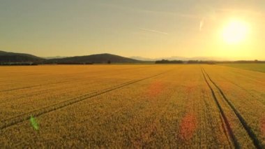 Hava kopya alanı: muhteşem tarım arazileri ormanlık dağlar ve sonsuz kahverengi buğday alanları ile pastoral kırsal kırsalında yukarıda altın yaz gün batımında uçan. Büyük tahıl alanları gündoğumu, Slovenya