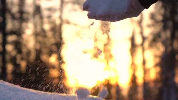 Молодая женщина делает снежных ангелов — стоковое видео
