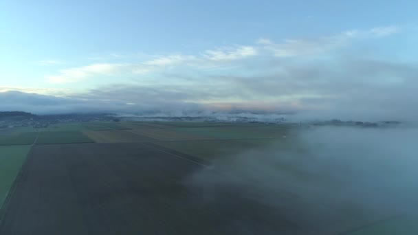 航空写真 濃い霧の寒い冬の朝に広大な農村部の草原フィールドを圧延します 田舎のハイウェーに沿う密な霧の雲を介して駆動車 小さな工業都市住宅が点在 — ストック動画