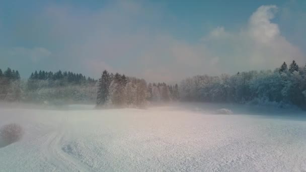 雪に覆われた美しい森の空き地の早朝の霧飛んで空中クローズ アップ 豪華な冬の日を冷凍小ぎれいな木に向かって霧のフィールドの上に飛んでいます 見事な雪に覆われた冬の風景 — ストック動画