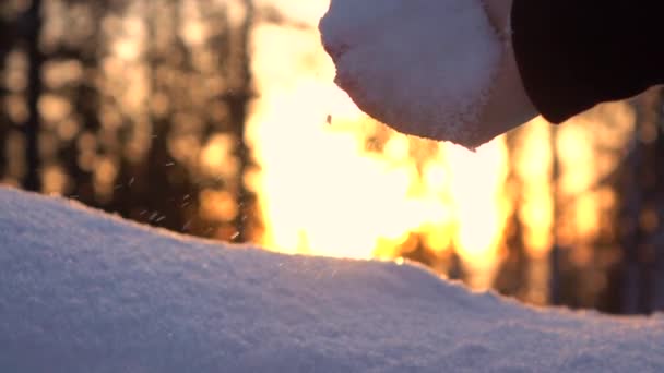 Молодая женщина делает снежных ангелов — стоковое видео