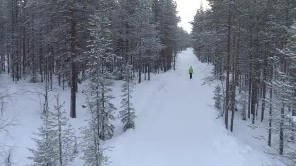 Jonge vrouw maken sneeuw engelen — Stockvideo