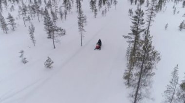 Güneşin atlama snowboarder