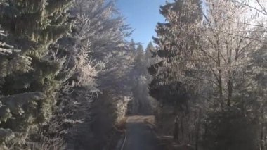 Hava yakın boş kadar yol yalak muhteşem orman hoarfrost içinde güneşli kış gününde kaplı donmuş lider. Buz gibi ağaçlar, beyaz köpüklü çalı çırpı ve buz ve buz soğuk kışın sarılmış dalları