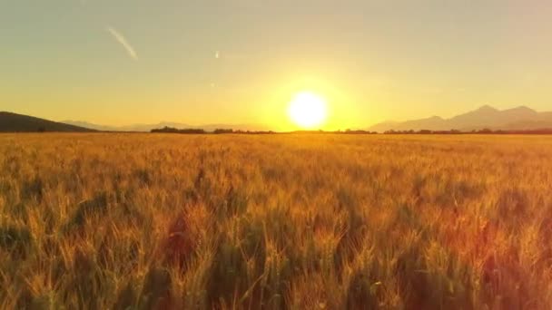 Antenne Nahaufnahme Linsenschlag Flug Über Eine Wunderschöne Ländliche Herbstlandschaft Mit — Stockvideo