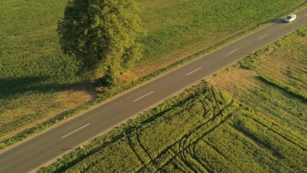 Luchtfoto Top Vliegen Boven Interstate Highway Loopt Door Schilderachtige Natuur — Stockvideo