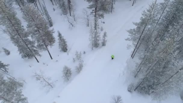 Jonge vrouw maken sneeuw engelen — Stockvideo