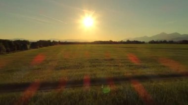 Hava: yukarıda geniş yeşil çayır alan, yemyeşil ağaçlar ve Slovenya'da organik tarım çiftliği güneşli akşamı uçan. Puslu Dağlar mesafe ile kırsal manzara homestead alanların çayıra