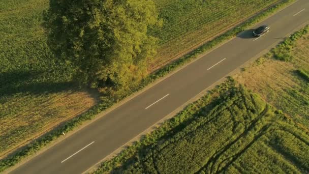 自上而下 在农业乡村的州际公路上飞行 穿过风景如画的自然 在公路上开车和越野车穿越阳光明媚的乡村景观的人们 — 图库视频影像