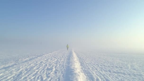 Aerial Unrecognizable Woman Walking Snowy Path Misty Fields Beautiful Winter — Stock Video
