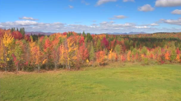 Aerial Volando Por Encima Las Impresionantes Copas Los Árboles Colores — Vídeo de stock