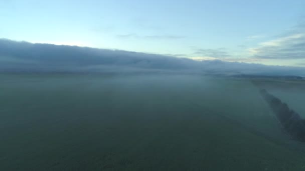 冬季早晨日出前 浓雾在广阔的农村田野上翻滚 寒冷的早晨 浓浓的云层在农村 农田和郊区城镇蔓延 — 图库视频影像