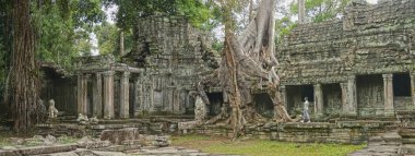 Genç kadın seyahat Kamboçya'daki bir ormanın ortasında eski Budist tapınakları muhteşem antik kalıntıları keşfetmek. Kadın güzel Angkor Wat ruins çevresinde yürüyüş gezi gezisi.