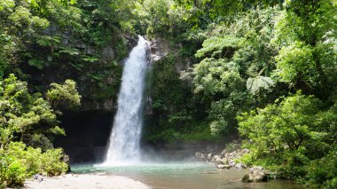 Ormanda akan küçük nehir çarpıcı bir zümrüt şelaleye dönüşür. Fiji ülkesindeki bir yağmur ormanı ortasında su havuzu bir kristal küreye sıçramasına uzak şelale muhteşem atış temizleyin.