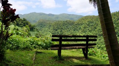 Yakın Up: Yalnız ahşap Bank yemyeşil yeşil vadi ve dağlar üzerinde güneşli bir günde Fiji vahşi doğada görünüyor. Nefes kesen tropikal yağmur ormanları ortasında küçük bir tezgah görünümünden.