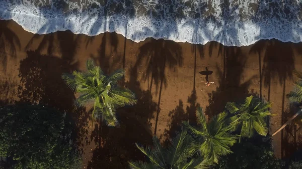 Aerial Top Безногий Серфер Мужчина Гуляющий Песчаному Побережью Тени Пальмовых — стоковое фото