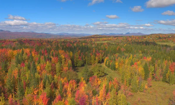 Aerial Distantes Colinas Con Vistas Coloridos Bosques Otoñales Claros Solitarios — Foto de Stock