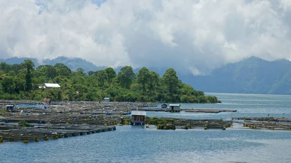 Granja Peces Solitaria Situada Aguas Fértiles Cerca Selva Tropical Soleado — Foto de Stock