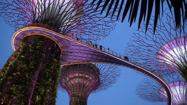 Нижче Наведено Національну Пам Ятку Сінгапуру Сад Затоки Популярний Завдяки — стокове фото