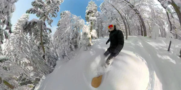 360 Overcapture Freeride Snowboard Flicka Ridning Pudersnö Snötäckta Bergskog Ung — Stockfoto