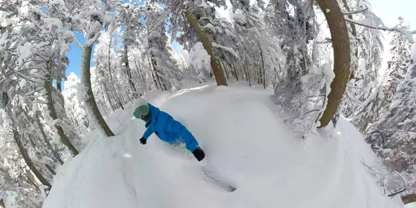 360 覆盖两个自由的滑雪者骑在乡村的荒野新鲜粉末雪 极端滑雪板夫妇骑完美的波雪在云杉山区森林 运动的寒假 — 图库照片