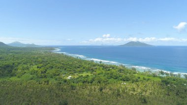 Hava: Çarpıcı okyanus dalgalarının palmiye ağacı Ekim güneşli adada yaklaşım. Breahtaking atış ve sayısız palmiye ağaçlarının uzak egzotik ada çapında dağınık. Güzel sahil ve palmiye ağaçları.