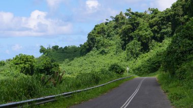 Remote asphalt road running through endless dense jungle landscape in picturesque Vanuatu. Breathtaking shot of countryside route in tranquil far reaching tropical rainforest of the Pacific Islands.
