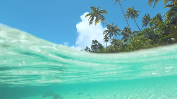 Half Half Pittoresco Colpo Idilliaca Spiaggia Sabbia Bagnata Una Bellissima — Foto Stock