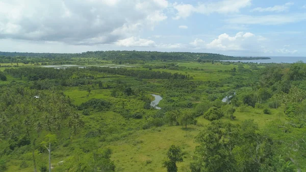 Aerial Flying Endless Green Tropical Rainforest Covering Beautiful Untouched Island — Stock Photo, Image