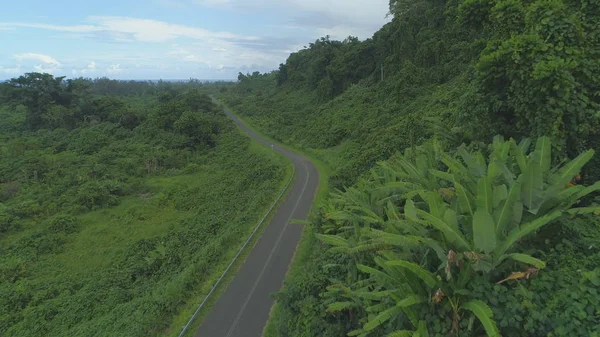 Aerial Urban Concrete Trail Winding Lush Green Tropical Rainforest Empty — Stock Photo, Image