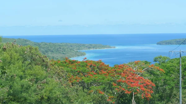 Antena Pływające Powyżej Gęste Zielone Czerwone Liście Obejmujące Malowniczej Wyspie — Zdjęcie stockowe