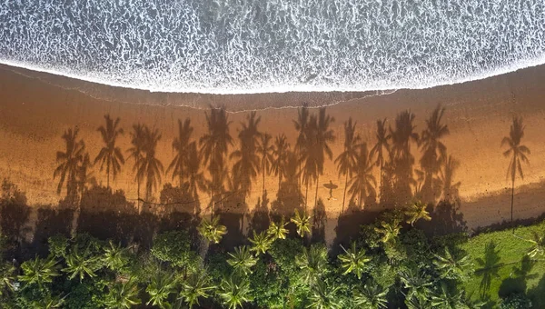 在阳光明媚的早晨 在棕榈树树荫间的沙滩上散步的空中冲浪手 难以辨认 冲浪后带冲浪板的年轻人 热带海滩上冲浪者的阴影和茂密的棕榈树 — 图库照片