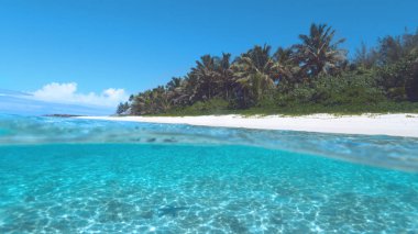 HALF UNDERWATER: Turquoise ocean water washes the breathtaking white sand beach on a perfect summer day. Spectacular view of the glimmering sea and empty tropical beach surrounded by lush palm trees.