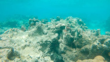 Sualtı: Bir kez renkli mercan şimdi ölü deniz dibinin çevre değişikliği nedeniyle olarak bırakılır. Kaybolan geniş kıyı resif ve güzel sealife tropikal denizde ölmek üzere. Kasvetli cansız kıyı resif.